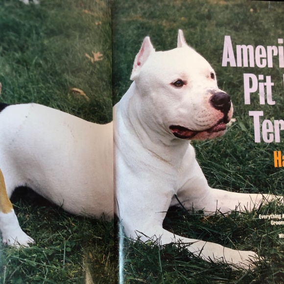 The American Pit Bull Terrier Handbook - Picture 4 of 6